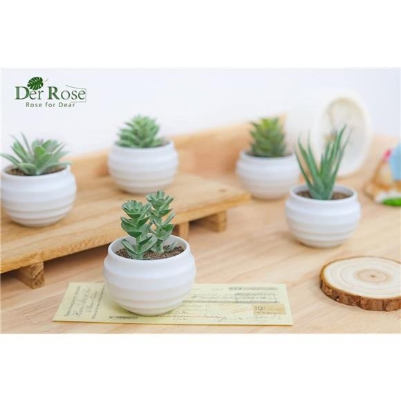 6 pack Succulents Plants Artificial in Pots Small Fake Plants Bedroom Aesthetic - Picture 5 of 6